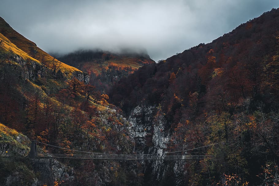 pod, Două, munţi, natură, copac, plantă, în aer liber, Munte, brad, abies, peisaj, decor, Franţa, holzarte, de munte, conifer, clădire, carcasă, platou, drum, mediu rural, pantă, vegetație, toamnă, scenice - natura, frumusețe în natură, nor - cer, cer, scenă non-urbană, liniște, o scenă liniștită, nici o persoana, Schimbare, mediu inconjurator, teren, zi, toamnă colecție, 5K