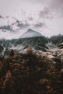 maro copac frunze, Munte, alp, nor, copac, natură, peisaj, aspru, sterp, întuneric, dramatic, razele soarelui, rază de soare, android monitorului, HD wallpaper, toamnă, cădea, varf de munte, scenics, zăpadă, în aer liber, nor - cer, de munte, cer, pădure, ceaţă, frumusețe în natură, călătorie, vale, deal, obiect de rocă, vară, Cloudscape, iarnă, drumeții, apus de soare, nici o persoana, albastru, alpine europene, sus, turism, 5K, CC0, domeniu public, fără drepturi de autor