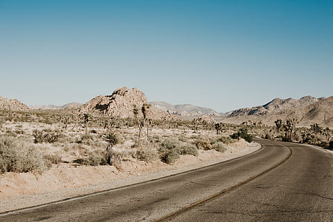 estrada cinza, deserto, estrada de terra, estrada, cascalho, parque nacional de joshua tree, Estados Unidos, ao ar livre, solo, natureza, joshua tree, deserta, estrada aberta, árvore, montanha, californium, Parque Nacional, aventura, viagem, caminho, céu, céu limpo, o caminho a seguir, scenics - natureza, cena tranquila, direção, panorama, copie o espaço, tranquilidade, beleza na natureza, transporte, meio Ambiente, azul, cena não urbana, ninguém, dia, clima, clima árido, Perspectiva Diminutiva, semi-árido, 5K, CC0, domínio público, royalty free