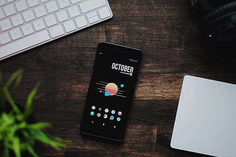 schwarzes Smartphone, Telefon, Tabelle, Tastatur, Technik, Technologie, flach liegen, Computer, Android, Pflanze, Arbeitsplatz, Schreibtisch, Holz, Pixel, Google, Kommunikation, kabellose Technologie, Verbindung, Computerausrüstung, drinnen, Computer Tastatur, Laptop, tragbares Informationsgerät, Holz - Material, High Angle View, Smartphone, Bildschirm, Mobiltelefon, keine Leute, Stillleben, 4K, CC0, gemeinfrei, lizenzfrei
