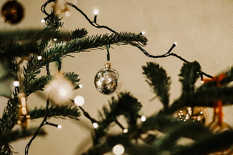 graue Kugel, Baum, Pflanze, Ornament, abies, Tanne, Weihnachtsbaum, Nadelbaum, Kiefer, Fichte, Wohnkultur, Leinen-, Beleuchtung, Tröpfchen, Tier, Hengstfohlen, Säugetier, Pferd, Farn, Lärche, Tellerhalter, Dekoration, Weihnachten, Urlaub, Weihnachtsdekoration, Feier, Weihnachtsverzierung, hängend, Lichtanlage, keine Leute, beleuchtet, Nahansicht, Weihnachtsbeleuchtung, drinnen, selektiver Fokus, Ferienveranstaltung, Natur, Elektrizität, Licht, 4K, CC0, gemeinfrei, lizenzfrei