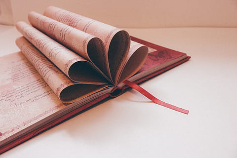 tæt på, Bestil, hvid, baggrund, bogsider, kollegium, data, dokument, uddannelse, Information, tidsskrift, viden, lære, bibliotek, litteratur, læsning, forskning, skole, stilleben, undersøgelse, studere, skrivning, papir, indendørs, offentliggørelse, ingen mennesker, bord, blyant, høj vinkel visning, skriveinstrument, kreativitet, rullet op, Kunst og håndværk, direkte over, pen, studio skud, note pad, 5K, CC0, offentligt domæne, royaltyfrie