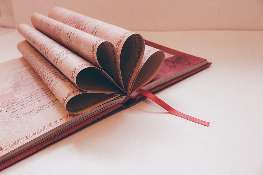 detail, rezervovat, bílý, Pozadí, stránky knihy, vysoká škola, data, dokument, vzdělání, informace, časopis, znalost, Učit se, knihovna, literatura, čtení, výzkum, škola, stálý život, studie, studovat, psaní, papír, uvnitř, vydání, nikdo, stůl, tužka, vysoký úhel pohledu, tvořivost, sroloval, umění a řemesla, přímo nad, pero, studio shot, poznámkový blok, 5K