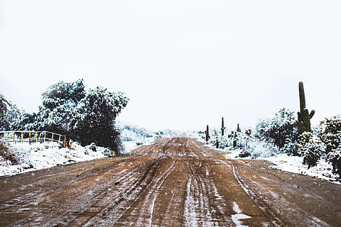 strada asfaltata vuota, strada sterrata, pianta, albero, strada, ghiaia, terra, all'aperto, natura, abete, abies, Tucson, az, stati Uniti, nevicata, deserto, la neve, vegetazione, pendenza, Arizona, Tucson, temperatura fredda, inverno, cielo, scenics - natura, giorno, nessuno, bellezza nella natura, la tranquillità, la strada davanti, Colore bianco, direzione, copertura, scena tranquilla, tempo estremo, montagna innevata, nevicando, albero di conifere, 5K, CC0, dominio pubblico, privo di copyright