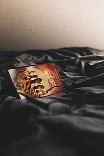 nero, letto, foglio, libro, leggere, occhiali, camera, in casa, natura morta, mobilia, nessuno, cibo, cibo e bevande, avvicinamento, messa a fuoco selettiva, stanza domestica, Camera da letto, freschezza, interno di casa, spiegazzato, carta, biancheria, tessile, vista dall'alto, spuntino, tentazione, 5K, CC0, dominio pubblico, privo di copyright