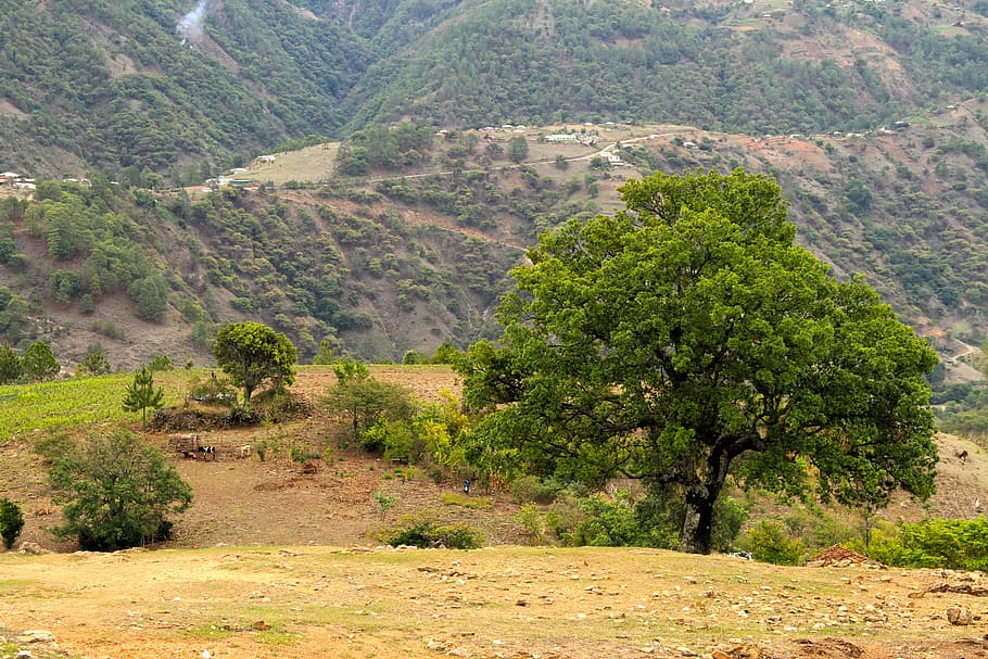 Landschaft, Himmel, Wolken, Sonnenuntergang, Natur, Berglandschaft, Guatemala, Berg, hohe Berge, Bergsteigen, Kaffee, Pflanze, Baum, Schönheit in der Natur, Szenen - Natur, Tag, Land, Nicht-städtische Szene, Ruhe, Umgebung, keine Leute, Wachstum, grüne Farbe, ruhige Szene, draußen, idyllisch, High Angle View, Fernbedienung, trockenes Klima, Klima, erodiert, 2K