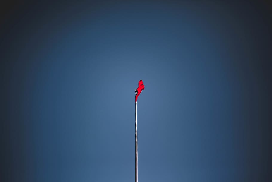 vinker rødt flag, symbol, flag, amerikansk flag, taiwan flag, taiwanske flag, nation, blå himmel, taiwan, lygtepæl, eventyr, fritids aktiviteter, asfalt, lancering, sollys, fugl, dyr, vandfugle, lys, flare, blå, lav vinkel visning, himmel, kopiere plads, rød, skyfri himmel, ingen mennesker, natur, dag, vignet, patriotisme, pol, udendørs, enkelt objekt, emotion, miljø, solrig, vind, 5K