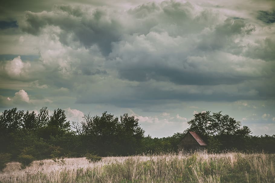 house, surrounded, trees, clouds, daylight, environment, farm, field, grass, grassland, sky, cloud - sky, plant, tree, beauty in nature, scenics - nature, tranquil scene, landscape, tranquility, growth, nature, land, no people, non-urban scene, rural scene, day, overcast, 5K