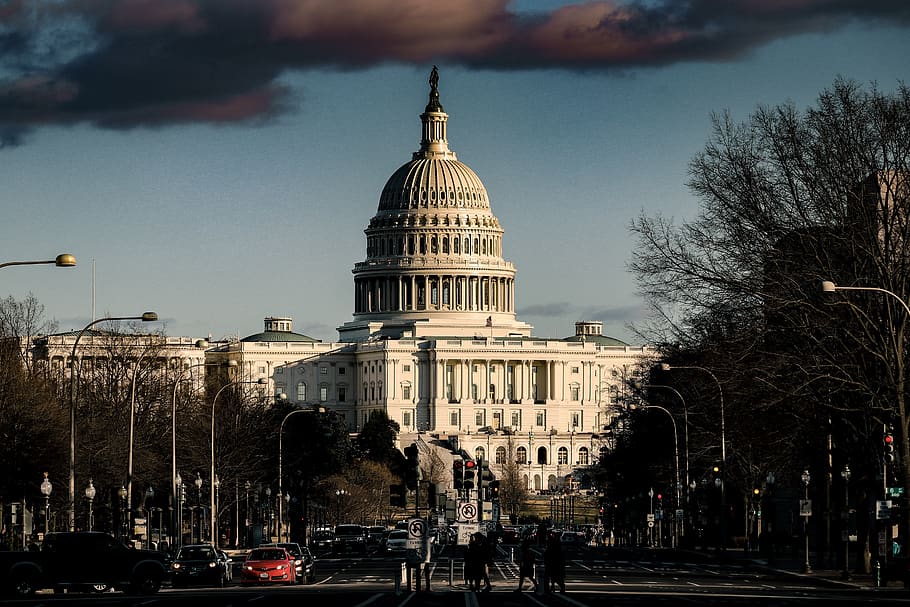 Capitol de Washington, exterior de l'edifici, estructura construïda, arquitectura, cúpula, cel, ciutat, govern, arbre, naturalesa, manera de transport, transport, destinacions de viatge, planta, persones incidentals, vehicle terrestre, dia, carrer, viatjar, a l'aire lliure, columna arquitectònica, 5K