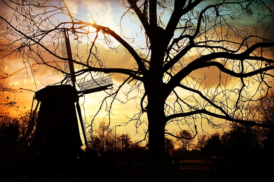mulino a vento, mulino, olandese, albero, tramonto, silhouette, rurale, campagna, cielo, albero nudo, natura, pianta, nessuno, ramo, conservazione dell'ambiente, combustibile e produzione di energia, ambiente, architettura, terra, all'aperto, bellezza nella natura, energia rinnovabile, luce del sole, Inquadratura dal basso, la tranquillità, 4K