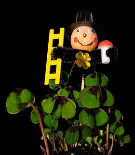 nyt år, objekt, fig, figur, legetøj, , repræsentation, menneskelig repræsentation, ingen mennesker, studio skud, grøn farve, Kunst og håndværk, indendørs, blad, sort baggrund, fest, tæt på, plante del, mandlig lighed, tøjdyr, kreativitet, gul, ferie, natur, plante, 1080P, CC0, offentligt domæne, royaltyfrie
