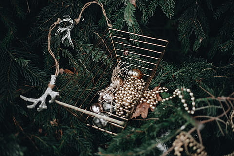 chique vakantiedecor, boom, decor, decoraties, vakantie, Kerstmis, kerstballen, buitenshuis, ornamenten, fabriek, natuur, land-, dag, geen mensen, voedsel, hoge hoekmening, veld-, groei, selectieve aandacht, eten en drinken, detailopname, Bos, versheid, deel van de plant, dennenappel, decoratie, dier, 5K, CC0, publiek domein, royaltyvrij