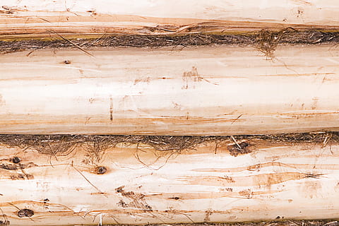 fundal, bord, maro, culoare, birou, exterior, material, model, scândură, stare brută, probă, structura, suprafaţă, textură, texturată, lemn, de lemn, fundaluri, deteriorat, murdar, murdărie, cadru complet, erodate, nici o persoana, abstract, lemn - material, a închide, grunge, vechi, a picta, zgâriat, spațiu copie, texturat efect, suprafață, fundaluri abstracte, 2K, CC0, domeniu public, fără drepturi de autor