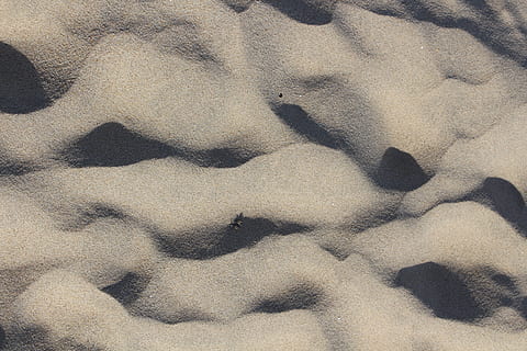nisip gri, sol, natură, nisip, în aer liber, dună, Petten, beachsand, Olanda, plaja de nisip, urmă, deşert, lup, mamifer, canin, lup rosu, animal, teren, decor, vedere aeriene, fundaluri, cadru complet, model, texturată, nici o persoana, lumina soarelui, plajă, zi, a închide, vedere în unghi mare, textil, umbră, direct deasupra, stare brută, model de undă, 5K, CC0, domeniu public, fără drepturi de autor