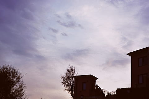 Himmel, Wolkengebilde, Wolken, Silhouette, Tapete, Gebäudekomplex, Bäume, vsco, Hintergrund, Licht, Sommer-, Gebäudehülle, die Architektur, gebaute Struktur, wolke - himmel, Gebäude, Flachwinkelansicht, Natur, Haus, Wohngegend, keine Leute, Baum, draußen, Sturm, Tag, hoher Abschnitt, Dämmerung, Pflanze, 5K, CC0, gemeinfrei, lizenzfrei