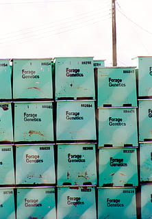 modré krabice, nampa, Spojené státy, box, přepravní kontejner, včelín, symbol, loga, ochranná známka, šuplík, nábytek, bezpečný, vozidlo, náklad, přeprava, bedna, symbol recyklace, lepenková krabice, lepenka, pořadač souborů, cihlový, nikdo, sdělení, text, uvnitř, detail, v řadě, podnikání, non-západní skript, objednat, zásobník, opakování, číslo, skript, uspořádání, vzor, den, celý rám, pozadí, 2K, CC0, veřejná doména, bez autorských práv