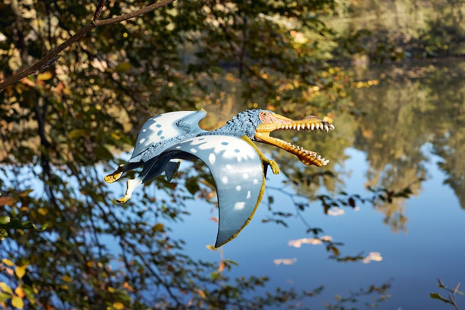 dinosaure, volant, pterosaure, animal, temes d'animals, fauna animal, animals a la natura, un animal, arbre, naturalesa, planta, vertebrats, cap gent, centrar-se en primer pla, primer pla, dia, a l'aire lliure, bellesa a la natura, branca, nedar, aigua, peix, marí, 5K