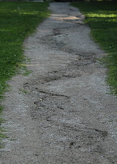 sti, flodleje, gå, retning, vejen frem, ingen mennesker, græs, dag, transportmidler, vej, faldende perspektiv, natur, plante, udendørs, høj vinkel visning, gade, selektiv fokusering, jord, by, Mark, fravær, tom, overflade niveau, beton, 4K, CC0, offentligt domæne, royaltyfrie