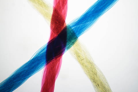 vue au microscope, fibre de soie, soie, fibre, texture, chaîne, coloré, bleu, rouge, Naturel, Vêtements, microscope, brins, mode, Matériel, qualité, science, protéine, les textiles, fibroïne, en tissu, industriel, la biologie, multi couleur, prise de vue en studio, fond blanc, mouvement, couleur verte, à l'intérieur, abstrait, lien, personne, la créativité, fermer, futuriste, câble, variation, La technologie, la nature, arrière-plans, complexité, violet, 2K
