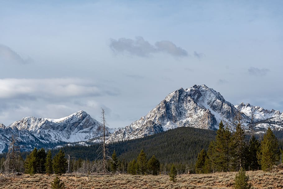 Weiß, Berge, grau, Himmel, Höhe, Wolken, kalt, Tageslicht, Wald, Gletscher, hoch, Eis, Landschaft, Gipfel, Natur, Felsen, felsig, szenisch, Schnee, Winter, Berg, Szenen - Natur, Schönheit in der Natur, kalte Temperatur, Ruhe, ruhige Szene, Gebirge, wolke - himmel, Umgebung, Nicht-städtische Szene, Baum, Tag, schneebedeckter Berg, keine Leute, draußen, Formation, Angebot, 5K