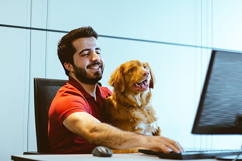 Hund, Sitzung, Mann, Runde, mit, Computer, echte Menschen, Haustiere, Eckzahn, Säugetier, ein Tier, inländisch, lächelnd, junger Erwachsener, eine Person, Glück, junge Männer, Emotion, Tag, Haustierbesitzer, 5K, CC0, gemeinfrei, lizenzfrei