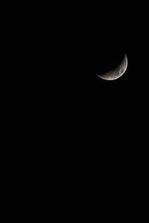 fotografi, bulan, perbintangan, astronomi, surgawi, sabit, gelap, luna, malam, potret, ruang, menyalin ruang, langit, tidak ada orang, ketenangan, alam, bulan sabit, tampilan sudut rendah, adegan yang tenang, keindahan di alam, latar belakang hitam, di luar rumah, warna hitam, hewan, bulan planet, ruang dan astronomi, sinar bulan, 2K, CC0, domain publik, bebas royalti