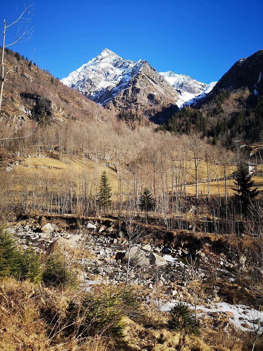 muntanya, piemonte, monte rosa, hivern, paisatge, escenics - natura, planta, cel, neu, temperatura de fred, naturalesa, Serra, herba, bellesa a la natura, tranquil·litat, escena tranquil·la, dia, terra, cap gent, muntanya nevada, escena no urbana, arbre, a l'aire lliure, cim de muntanya, 2K