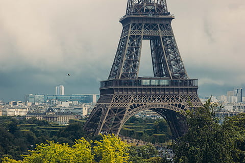 Torre Eiffel, circondato, alberi, nuvoloso, giorno, arco, architettonico, architettura, ponte, luminosa, nube, Fontana, storico, vacanza, luce, monumento, Parigi, panoramico, cielo, orizzonte, simbolo, giro, turismo, Torre, vista, antico, città, avvicinamento, cultura, design, Effel, eifel, europeo, Francia, francese, icona, punto di riferimento, natura, parigino, fiume, sereno, giro turistico, acciaio, strada, turista, viaggio, urbano, vacanze, verticale, Vintage ▾, struttura costruita, destinazioni di viaggio, esterno dell'edificio, pianta, albero, il passato, storia, nessuno, alto - alto, all'aperto, paesaggio urbano, 2K