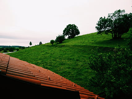 Alemanya, pfronten, planta, arbre, cel, color verd, naturalesa, tranquil·litat, herba, bellesa a la natura, escena tranquil·la, escenics - natura, creixement, cap gent, paisatge, camp, terra, dia, medi ambient, a l'aire lliure, escena no urbana, cel clar, 4K, CC0, domini públic, lliure de regalies