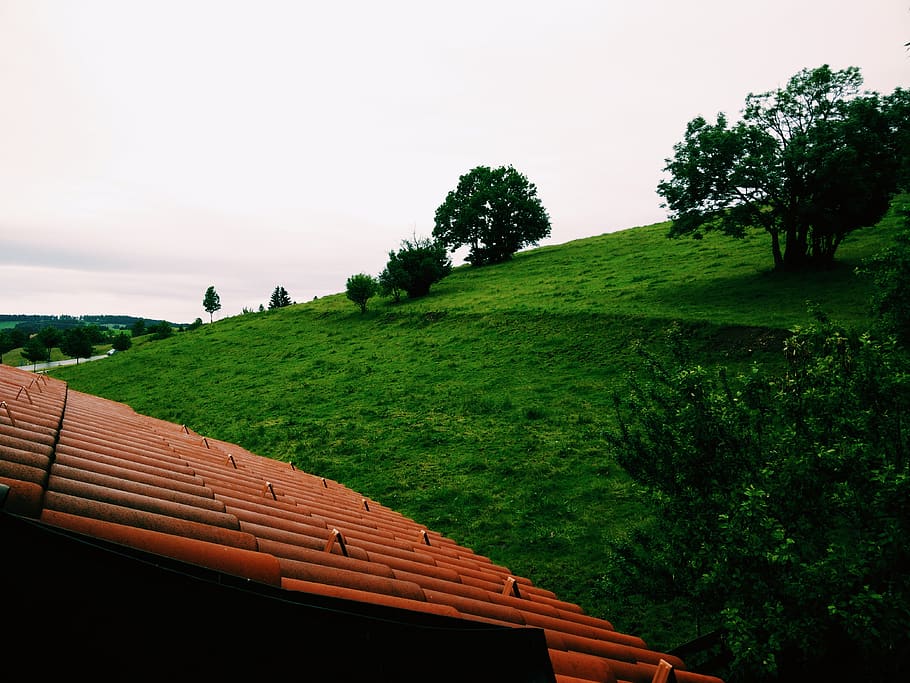 Alemanya, pfronten, planta, arbre, cel, color verd, naturalesa, tranquil·litat, herba, bellesa a la natura, escena tranquil·la, escenics - natura, creixement, cap gent, paisatge, camp, terra, dia, medi ambient, a l'aire lliure, escena no urbana, cel clar, 4K