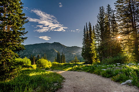 green, pine trees, mountains, blue, sky, clouds, daylight, environment, forest, grass, landscape, mountain, nature, nature photography, pathway, road, rocks, scenery, scenic, sunlight, sunrays, trees, wilderness, woods, plant, tree, beauty in nature, tranquility, tranquil scene, scenics - nature, no people, direction, green color, the way forward, footpath, land, growth, non-urban scene, outdoors, 5K, CC0, public domain, royalty free
