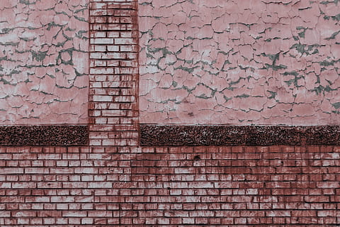braun, Beton, Mauerziegel, Backstein, Wandbau - Funktion, Ziegelwand, Wand, gebaute Struktur, die Architektur, Muster, Gebäudehülle, keine Leute, Tag, Vollbild, Efeu, texturiert, draußen, Hintergründe, Pflanze, Gebäude, verwittert, pinke Farbe, Kriechpflanze, 5K, CC0, gemeinfrei, lizenzfrei