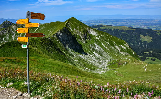 camino peatonal, montaña, camino, paisaje, naturaleza, montañas, pasto, verano, indicador, préalpes, Friburgo, Gruyère, molés, firmar, belleza en la naturaleza, paisajes - naturaleza, comunicación, escena no urbana, planta, nadie, escena tranquila, tranquilidad, día, color verde, hierba, ambiente, cielo, la carretera, Señal de tráfico, tierra, dirección, al aire libre, 5K, CC0, dominio público, libre de derechos