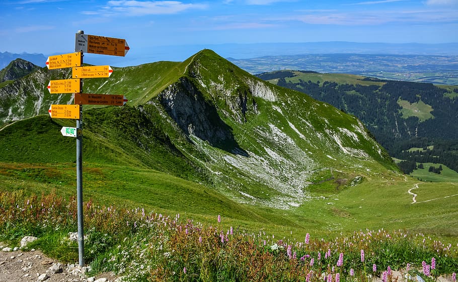 pěší cesta, hora, cesta, krajina, Příroda, hory, pastvina, letní, indikátor, préalpes, friborg, gruyère, moléson, podepsat, krása v přírodě, scenics - příroda, sdělení, mimoměstské scény, rostlina, nikdo, klidné scény, klid, den, zelená barva, tráva, životní prostředí, nebe, silnice, dopravní značka, přistát, vedení, venku, 5K