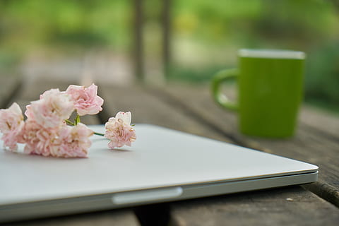 tecnología, computadora, teclado, flor, naturaleza, trabajo, la obra, café, oficina, mesa, macro, madera, Mañana, Buenos días, curso, hermoso, vaso, bebida, restaurante, ordenador portátil, planta floreciendo, planta, belleza en la naturaleza, frescura, nadie, centrarse en primer plano, color rosa, fragilidad, enfoque selectivo, día, vulnerabilidad, de cerca, naturaleza muerta, jarra, al aire libre, cabeza de flor, arreglo floral, 5K, CC0, dominio público, libre de derechos