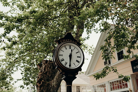 orologio, estate, alberi, verde, nero, bianca, albero, tempo, Inquadratura dal basso, pianta, struttura costruita, architettura, esterno dell'edificio, nessuno, natura, quadrante, giorno, costruzione, ramo, romano, crescita, mano minuta, cerchio, strumento del tempo, cielo, all'aperto, 5K, CC0, dominio pubblico, privo di copyright