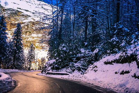 alberi accanto alla strada, freddo, giorno, foresta, sibilo, brina, gelido, congelato, ghiaccio, ghiacciato, paesaggio, montagna, natura, strada, panoramico, stagione, la neve, nevoso, alberi, tempo metereologico, inverno, paesaggio invernale, boschi, albero, temperatura fredda, pianta, la strada davanti, direzione, mezzi di trasporto, bellezza nella natura, scenics - natura, terra, nessuno, la tranquillità, scena tranquilla, scena non urbana, strada vuota, prospettiva decrescente, bosco, all'aperto, Pino, 5K, CC0, dominio pubblico, privo di copyright