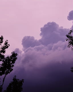 nori, Cloudscape, cer, peisaj, ceaţă, copaci, vară, natură, VSCO, fundal, tapet, copac, nor - cer, frumusețe în natură, culoarea roz, plantă, vedere unghiulară joasă, nici o persoana, liniște, scenice - natura, o scenă liniștită, în aer liber, apus de soare, siluetă, creştere, idilic, Violet, zi, 2K, CC0, domeniu public, fără drepturi de autor