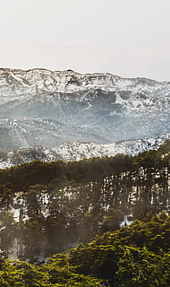 Algerien, blida, erkunden, Bäume, Wald, Berge, Abenteuer, Landschaft, launisch, launische Töne, Tapete, Natur, Reise, Schönheit in der Natur, Szenen - Natur, Himmel, Ruhe, Baum, ruhige Szene, Wasser, keine Leute, Pflanze, Tag, Nicht-städtische Szene, Berg, draußen, Land, Umgebung, idyllisch, Fernbedienung, 5K, CC0, gemeinfrei, lizenzfrei