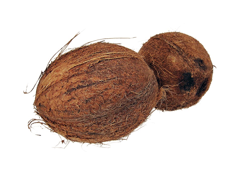 coco, cocos, cocoz, blanc, fruita, fons, fusta, primer pla, aïllat, vegetarià, pelut, natural, diversió, deliciós, tropical, dieta, marró, full, subtropical, objecte, saborós, saludable, vitamina, planta, tròpic, menjar, nou, fons blanc, tir de l'estudi, tallar, menjar i beguda, alimentació saludable, a l'interior, cap gent, benestar, natura morta, frescor, sec, dos objectes, naturalesa, sol objecte, textura, 1080P