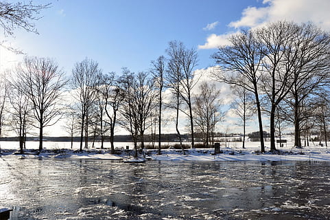 Brun, træ parti, hvid, sne, skyer, kold, dag, dagtimerne, miljø, frost, frost-, Frosset, is, sø, parkere, flod, naturskøn, sæson, træer, vand, vejr, vinter, træ, bare træ, kold temperatur, plante, himmel, natur, ingen mennesker, sky - himmel, skønhed i naturen, havnefronten, arkitektur, scenics - natur, transportform, udendørs, 2K, CC0, offentligt domæne, royaltyfrie