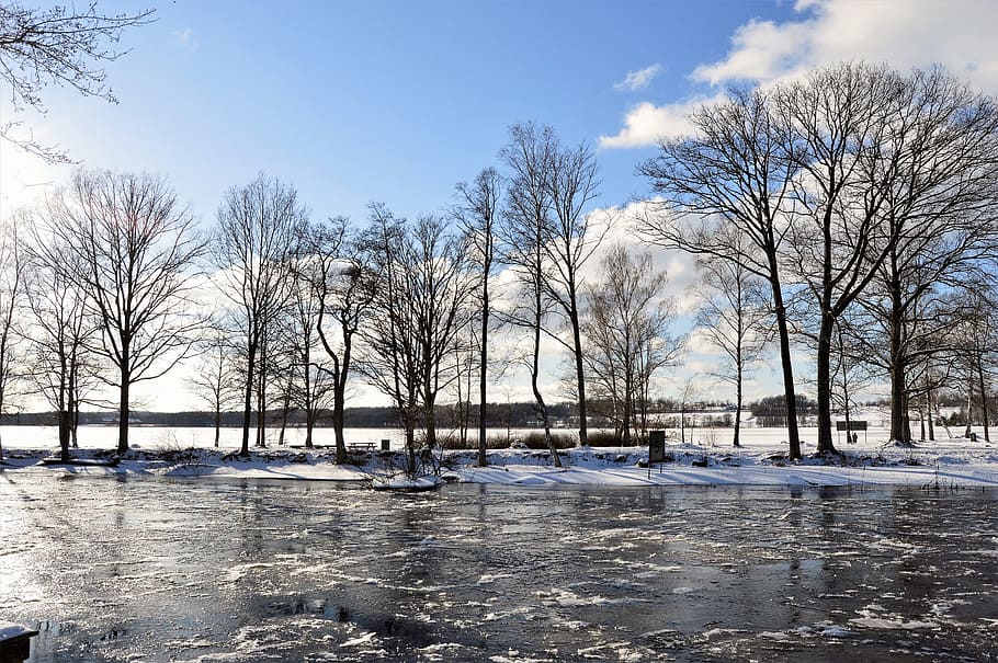 marró, lot d'arbres, blanc, neu, núvols, fred, dia, durant el dia, medi ambient, gelades, gelada, congelat, gel, llac, parc, riu, escènic, temporada, arbres, aigua, temps, hivern, arbre, arbre nu, temperatura de fred, planta, cel, naturalesa, cap gent, núvol - cel, bellesa a la natura, davant del mar, arquitectura, escenics - natura, manera de transport, a l'aire lliure, 2K