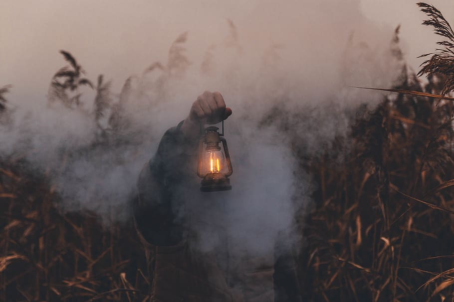 persona, celebració, llanterna de querosè, la llum del dia, medi ambient, foc, flama, herba, mà, llum, paisatge, fum - estructura física, naturalesa, il·luminat, cremant, boira, calor - temperatura, a l'aire lliure, equips d’il·luminació, planta, cap gent, nit, Pol · lució, foc - fenomen natural, arbre, 5K