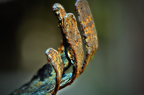 rust, jern, gammel, struktur, metal, metallisk, korrosion, Brun, rusted, materiale, rustik, henfald, ru, industriel, stål, kunst, rusten, tæt på, ingen mennesker, fokus på forgrunden, dag, natur, forvitret, udendørs, selektiv fokusering, tekstureret, sikkerhed, kørt ned, beskadiget, beskyttelse, lænke, plante, dyre temaer, 4K, CC0, offentligt domæne, royaltyfrie