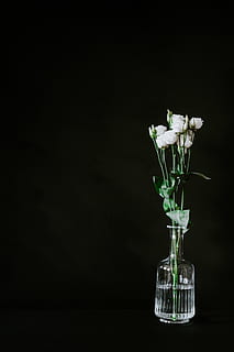 rose bianche, pianta, fiore, fiorire, vaso, composizione floreale, ceramica, bicchiere, ornamento, arte, ikebana, bouquet di fiori, calice, sfondo, buio, floreale, eustoma, nero, biancheria, girato in studio, sfondo nero, in casa, pianta fiorita, copia spazio, nessuno, vetro - materiale, natura, bellezza nella natura, trasparente, natura morta, freschezza, tavolo, fragilità, vulnerabilità, avvicinamento, ritagliare, testa di fiore, mazzo, un mazzo di fiori, vasellame, 5K, CC0, dominio pubblico, privo di copyright