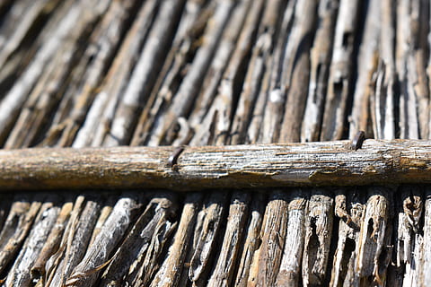 fusta, rústic, textura, patró, fons de pantalla, vell, paret, arbre, cobert, marró, branques, material de fusta, dia, cap gent, primer pla, naturalesa, a l'aire lliure, llum solar, enfocament selectiu, registre, planta, material de bambú, ungles, centrar-se en primer pla, marc complet, animal, 5K, CC0, domini públic, lliure de regalies