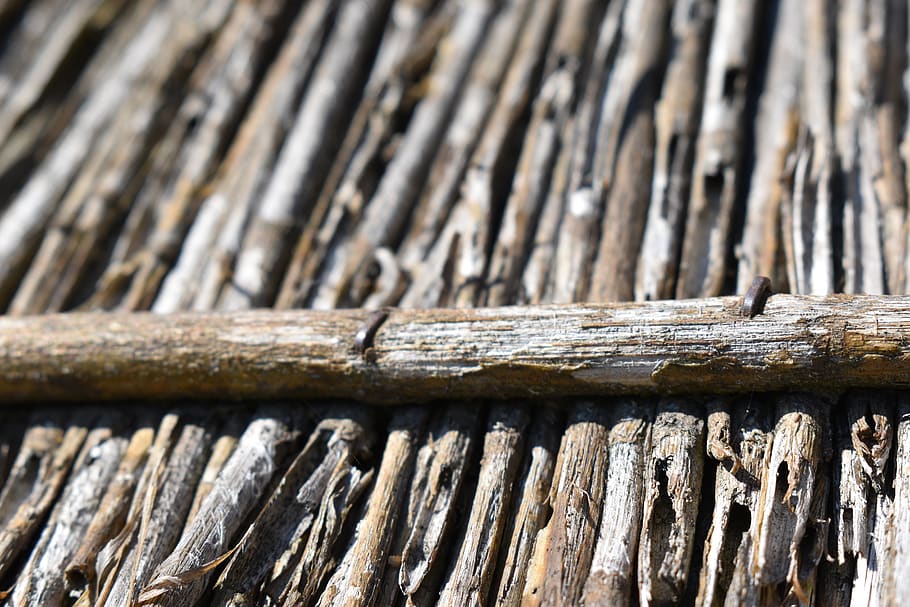 fusta, rústic, textura, patró, fons de pantalla, vell, paret, arbre, cobert, marró, branques, material de fusta, dia, cap gent, primer pla, naturalesa, a l'aire lliure, llum solar, enfocament selectiu, registre, planta, material de bambú, ungles, centrar-se en primer pla, marc complet, animal, 5K