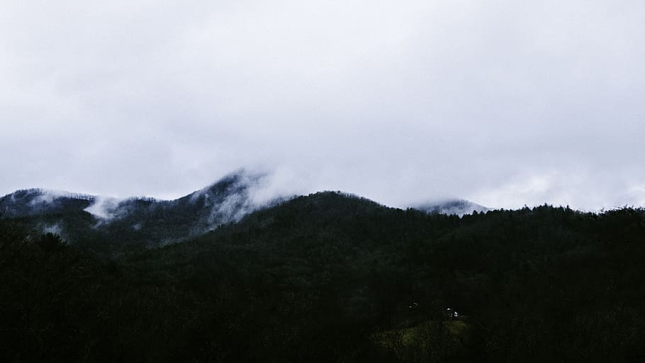 muntanya verda, turó, camp, 4kwallpaper, fons, descarregar, parc, Parc Nacional, autèntic, 2019, any nou, Nadal, sortida del sol, al matí, casa, cel, bosc, núvol, fons de pantalla, fons de pantalla hd, paisatge, muntanya, escenics - natura, núvol - cel, arbre, Serra, bellesa a la natura, cap gent, naturalesa, medi ambient, planta, escena no urbana, escena tranquil·la, terra, boira, tranquil·litat, a l'aire lliure, cim de muntanya, pluja, cresta de muntanya, 5K