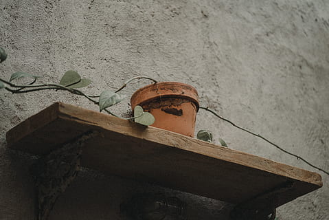 braun, Topf, Gestell, keine Leute, Holz - Material, Wandbau - Funktion, Tag, gebaute Struktur, Nahansicht, die Architektur, Pflanze, Natur, draußen, Container, Blatt, Pflanzenteil, Stillleben, alt, High Angle View, Box, Wachstum, Kasten - Behälter, Fokus auf den Vordergrund, Beton, 5K, CC0, gemeinfrei, lizenzfrei