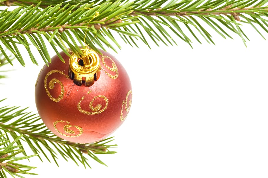 pilota, vermell, fons, decoració, esfera, festa, brilli, nou, estacional, celebració, Nadal, hivern, alegre, desembre, conjunt, penjar, bonic, feliç, curs, arbre, esdeveniment, esdeveniment de celebració, decoració de Nadal, adorn de Nadal, vacances - esdeveniment, arbre de Nadal, color verd, naturalesa, primer pla, cap gent, branca, tir de l'estudi, a l'interior, ornamentat, fulla de palma, 4K